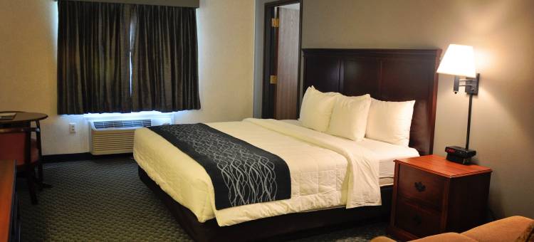 沙丘快捷酒店(Dunes Express Inn and Suites)图片