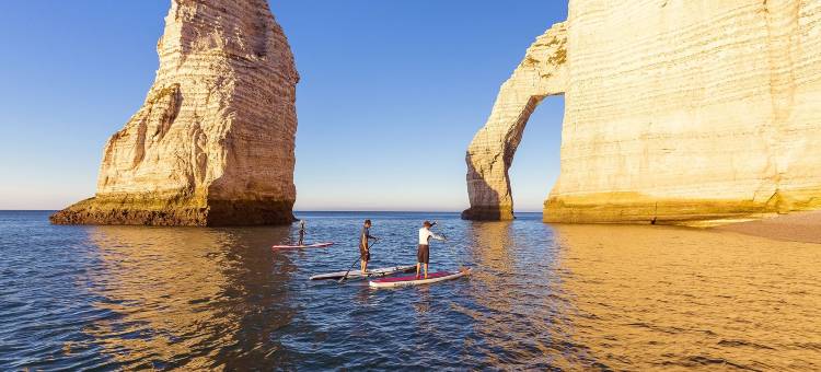 总统之家客栈(Logis Hôtel Restaurant Spa l'Auberge du President)图片