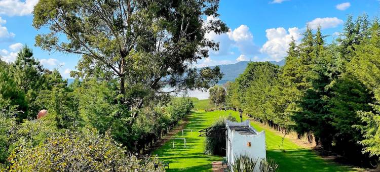 桑杜加拉戈钦钦扎(Sandunga Lago Tzintzuntzan)图片