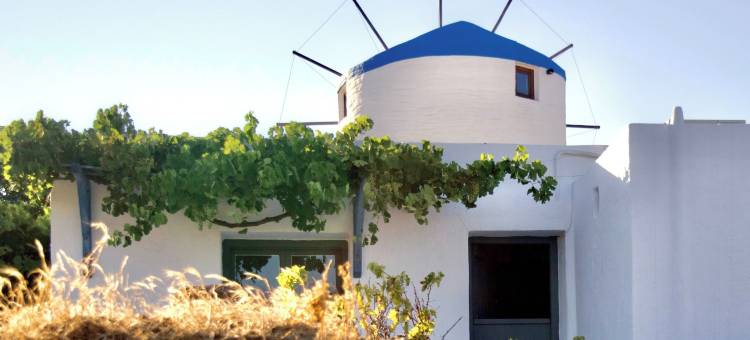 西夫诺斯根源(Sifnos Roots)图片