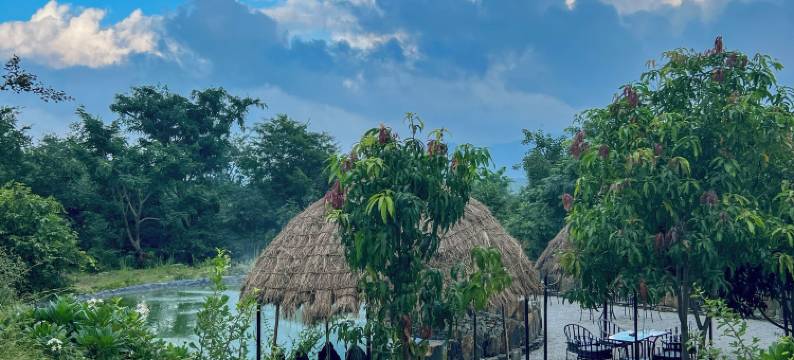 贝拉巴塞拉(Bella Basera)图片