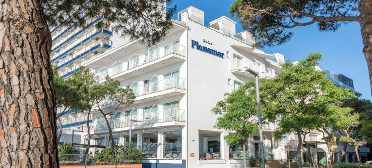 普拉纳马尔酒店(Hotel Planamar by Escampa Hotels)图片