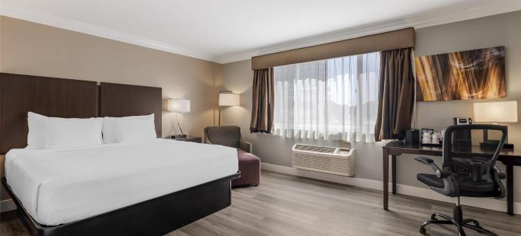 洛杉矶中城贝斯特韦斯特优质酒店(Best Western Plus La Mid-Town Hotel)图片