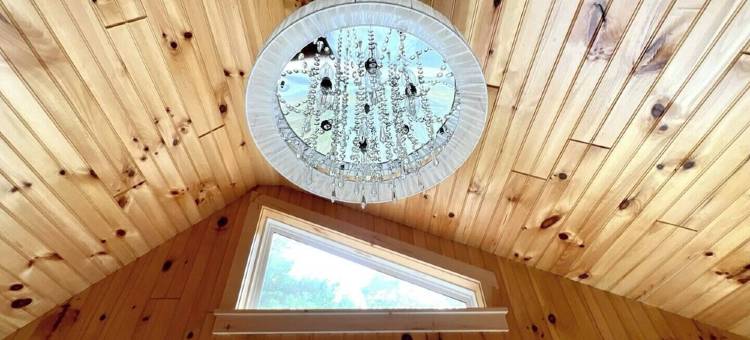 Remote Tiny Cabin & Hiking!图片