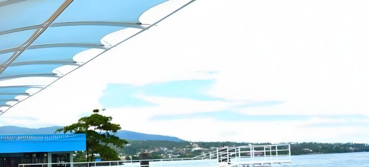 玛纳朵雄狮酒店(Lion Hotel & Plaza)图片