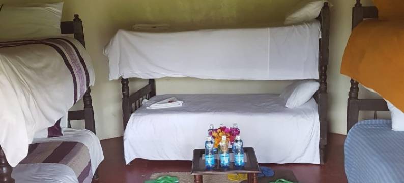 大圆小屋(The Great Circle Lodge - Hostel)图片