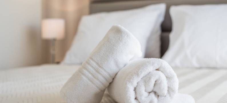 GuestReady - Mushroom图片