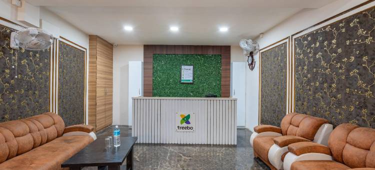 Treebo 绿橄榄(Treebo Green Olive)图片