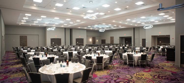 假日套房酒店-乔利埃特西南(Holiday Inn & Suites Joliet Southwest)图片