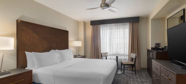 拉雷多希尔顿希尔顿安泊酒店(Embassy Suites by Hilton Laredo)图片