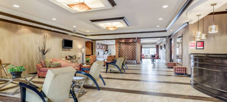 舒适套房酒店(Comfort Suites)图片