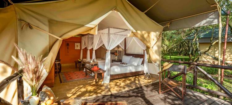 费尔蒙马拉野生动物俱乐部酒店(Fairmont Mara Safari Club)图片