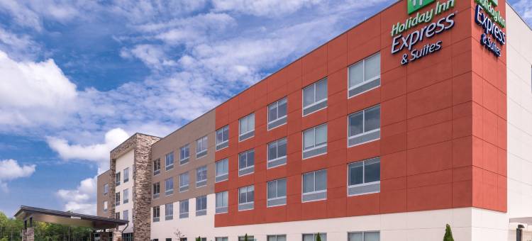 法姆维尔洲际智选假日套房酒店(Holiday Inn Express & Suites FARMVILLE by IHG)图片