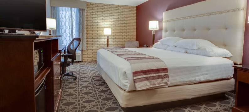 海蒂德鲁里套房酒店(Drury Inn & Suites Hayti Caruthersville)图片