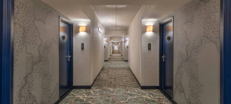 The Mecklen Hotel, Charlotte, a Tribute Portfolio Hotel图片