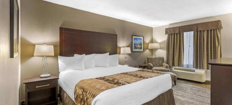 佩姆比纳贝斯特韦斯特优质套房酒店(Best Western Plus Pembina Inn  Suites)图片