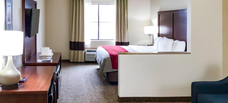 尤马I-8舒适套房酒店(Comfort Inn and Suites Yuma I-8)图片