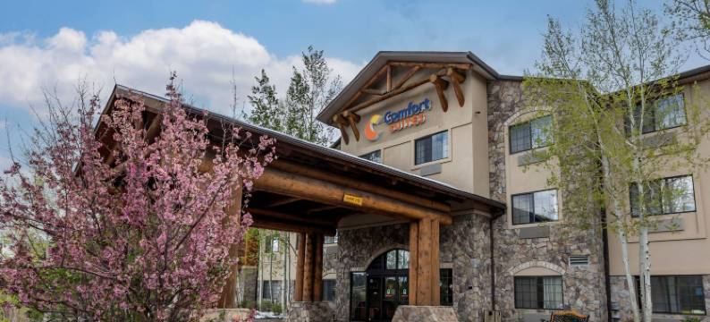 埃弗格林百汇金西舒适套房酒店(Comfort Suites Golden West on Evergreen Parkway)图片