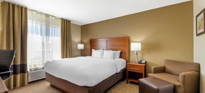 波特舒适套房酒店 - 近印第安纳沙丘(Comfort Inn & Suites Porter Near Indiana Dunes)图片