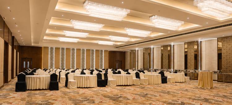 雅佳的丽柏酒店(Hotel Park Inn by Radisson Ayodhya)图片