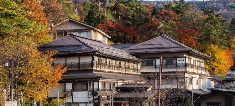 藏王温泉 深山庄日式旅馆(名汤之宿 高见屋集团)(Takamiya Ryokan Miyamaso)图片