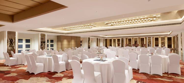 潘切库拉阿尔利斯洲至奢选酒店，洲际旗下(Vignette Collection the Aarlis Hotel Panchkula by IHG)图片