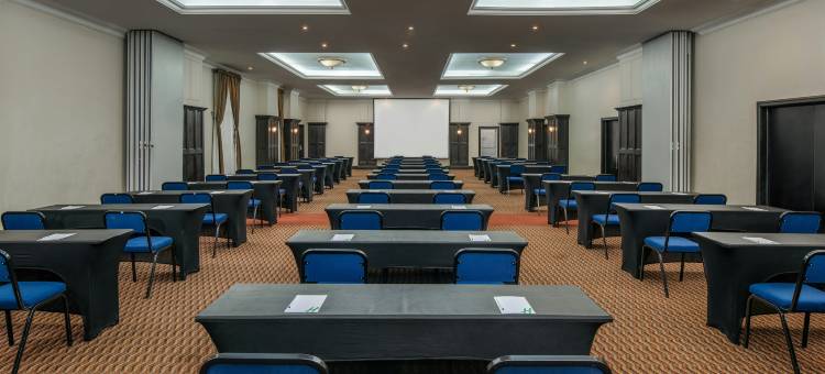 洲际酒店集团约翰内斯堡阳光公园假日酒店(Holiday Inn JOHANNESBURG SUNNYSIDE PARK by IHG)图片