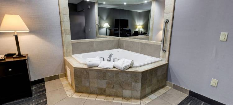 布兰特福德希尔顿欢朋套房酒店(Hampton Inn & Suites by Hilton Brantford Conference Centre, on)图片