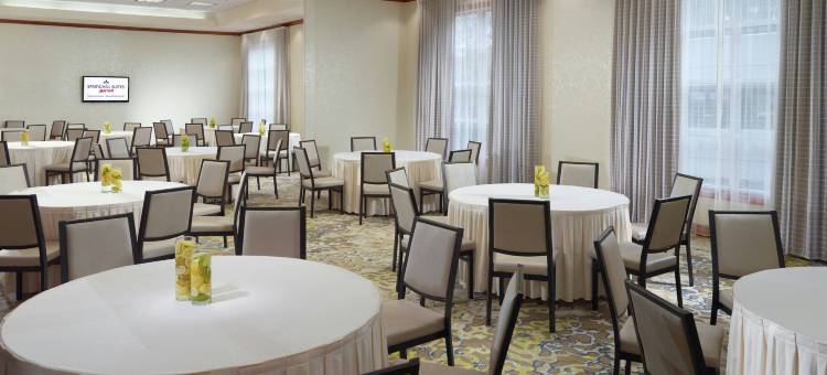 亚特兰大巴克海特万豪SpringHill酒店(SpringHill Suites Atlanta Buckhead)图片