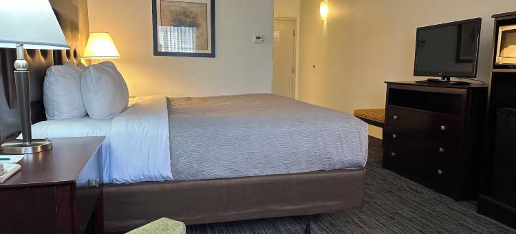 埃弗里特凯艺套房酒店(Quality Inn & Suites Everett)图片