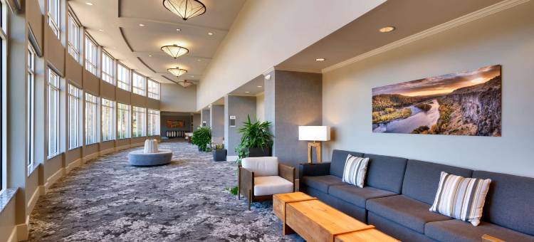 爱达荷福尔斯希尔顿花园酒店(Hilton Garden Inn Idaho Falls)图片