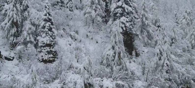 黑水风情藏家民宿图片