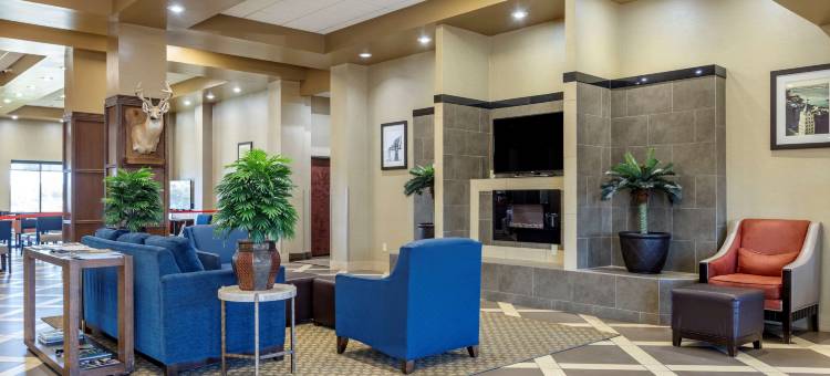 舒适套房酒店(Comfort Suites Batesville)图片