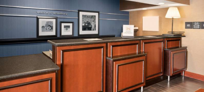 明尼阿波利斯圣保罗伍德伯里欢朋酒店(Hampton Inn Minneapolis-St. Paul/Woodbury)图片