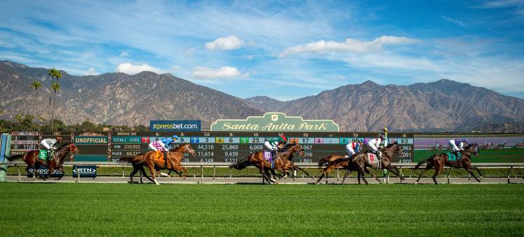 帕萨迪纳-阿卡迪亚艾美酒店(Le Méridien Pasadena Arcadia)图片