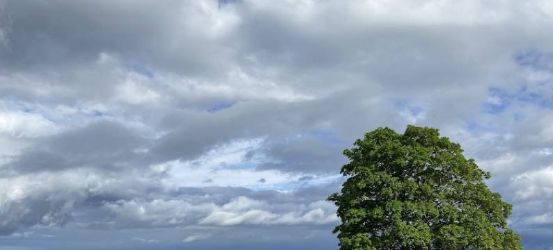 布林克里别墅酒店(Hotel Villa Brinkly)图片