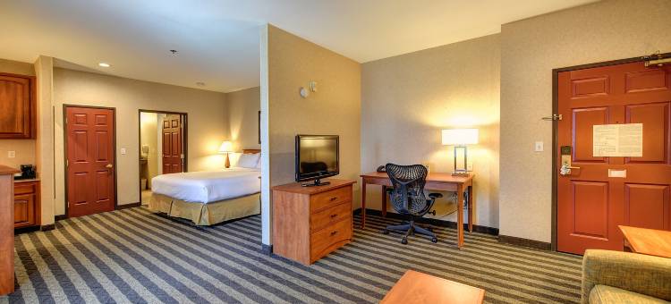 智选假日套房酒店曼特卡南 - 斯托克顿区(Holiday Inn Express & Suites Manteca City Center)图片