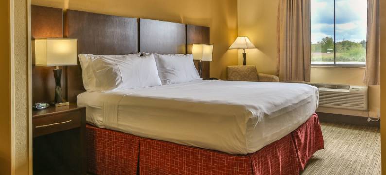 智选假日套房酒店休斯敦南 - 近皮尔兰(Holiday Inn Express & Suites HOUSTON SOUTH - PEARLAND by IHG)图片