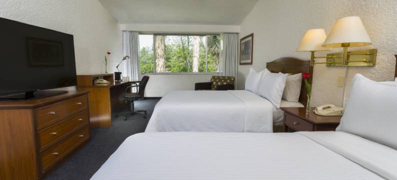 帕丘卡伽玛酒店(Gamma Pachuca)图片