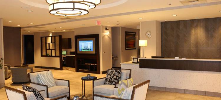 罗利克拉布特里谷希尔顿逸林酒店(DoubleTree by Hilton Raleigh Crabtree Valley)图片