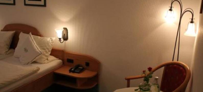 武勒尼尔兰德酒店(Wüllner's Landgasthof)图片