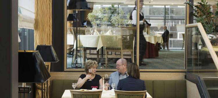 马里添酒店-德雷斯顿(Maritim Hotel Dresden)图片