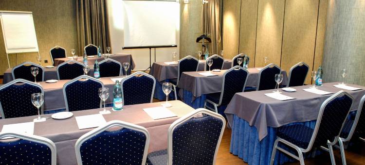 斯考特而恩波利公主酒店(Sercotel Princesa de Eboli)图片