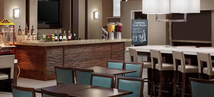 希尔顿旗下奥兰多布埃纳维斯塔湖度假村大使套房酒店(Embassy Suites by Hilton Orlando Lake Buena Vista Resort)图片