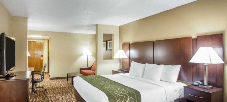 舒适套房酒店(Comfort Suites)图片