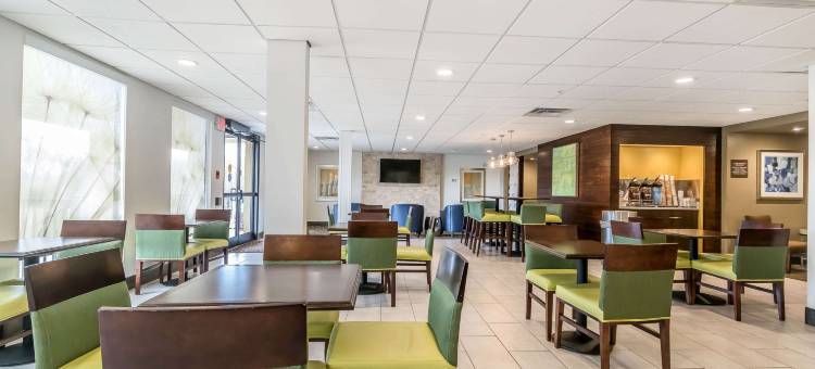 舒适套房酒店(Comfort Inn & Suites)图片