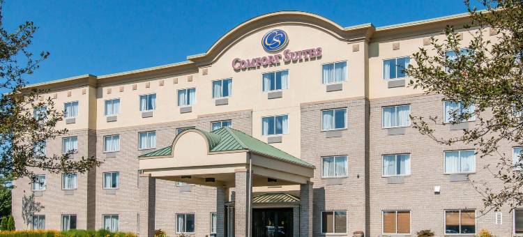 舒适套房酒店(Comfort Suites)图片