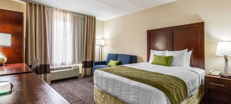 舒适酒店-大学公园北(Comfort Inn College Park North)图片