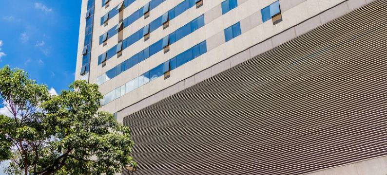 贝洛奥里藏特卢尔德希尔顿花园酒店(Hilton Garden Inn Belo Horizonte, Brazil)图片
