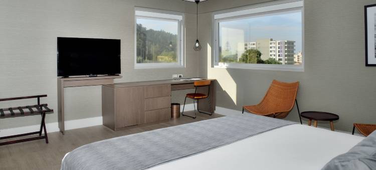 库里科丽笙酒店(Radisson Hotel Curico)图片